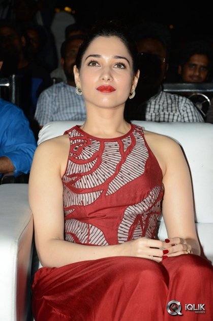 Tamannaah-at-Bengal-Tiger-Movie-Triple-Platinum-Disc-Function